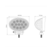 Picture of 6" LED Oval Explorer Work Lamp